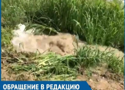 Администрация и «Водоканал» смеются людям в лицо, - волгодонцы о коммунальном «фонтане» на проспекте Мира