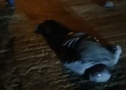 В Старосоленом неизвестный сбил пешехода и скрылся с места ДТП