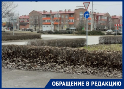 «Снегу бы припорошить землю, а на Мира еще листья не убрали»: волгодонцы