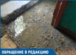 Канализация затапливает подъезд в Волгодонске 