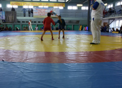 Две бронзовые медали привезли из Элисты волгодонские самбисты