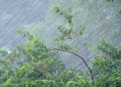 Волгодонцев призывают опасаться порывов сильного ветра