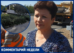 «В Волгодонске началась активная борьба с амброзией»: Елена Нигай