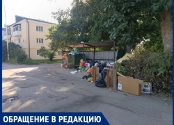 «Мусорка с горкой»: жильцы улицы Чехова бьют тревогу из-за исчезнувших контейнеров