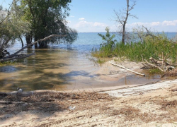 Цимлянское водохранилище снизило уровень воды на семь сантиметров 