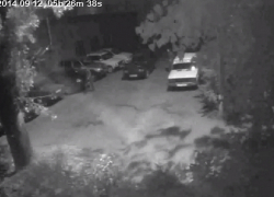 В Волгодонске под прицел камеры видеонаблюдения попала молодежь, ночью сливающая бензин с чужой машины