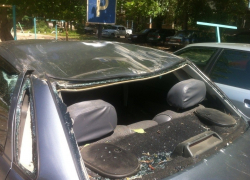 В Волгодонске у здания администрации на автомобиль упало дерево 