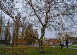 Сегодняшний день будет пасмурным