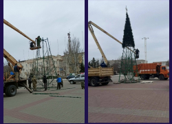 Главные новогодние елки начали устанавливать в Волгодонске