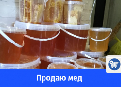 В Волгодонске продают мед урожая 2018 года 