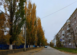 Зима с осенними нотками и очень высоким давлением: о погоде в Волгодонске в среду