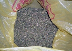 В международный день борьбы с наркотиками в Волгодонске задержали двоих наркодилеров