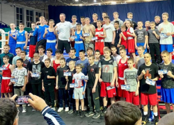 Масштабный турнир по боксу собрал лучших спортсменов в Волгодонске 