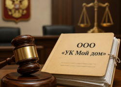 Госжилинспекция подала иск об аннулировании лицензии ООО «УК Мой Дом»