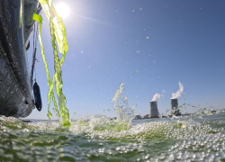 Чтобы вода не «цвела»: в водоем-охладитель Ростовской АЭС запустили новую партию хлореллы