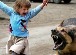 Дворняга вцепилась в горло восьмилетней девочке