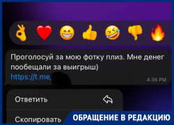 «Я получила сообщение от подруги с просьбой проголосовать»: волгодончанка чуть не лишилась аккаунта в Telegram