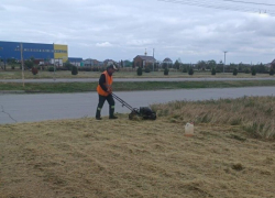 В Волгодонске косят траву, но трава не сдаётся