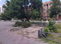 Место передачи «табачной взятки» полицейскому «зачистили» в Волгодонске 