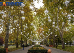 Улицу Ленина в Волгодонске Фонд Галицкого благоустроит по принципу Красной в столице Кубани