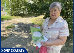 «Голодные крысы атакуют детскую площадку и голубей!»: жители Черникова, 19 напуганы грызунами