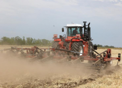 В Константиновском районе введен режим ЧС из-за почвенной засухи