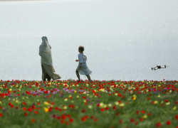 Часть сцен нового исторического сериала «Князь Андрей» сняли на востоке Ростовской области на тюльпанных полях