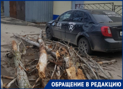 Разбушевавшийся ветер повалил сухие деревья на автомобили на Ленина  
