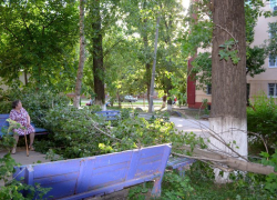 В одном из дворов Волгодонска упавшее дерево едва не задавило детей