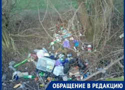 «Свиньи, а не люди!»:  жители Лагутников умудряются разводить свалку при регулярном вывозе отходов