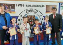 Волгодонцы вошли в число победителей осеннего первенства по дзюдо        