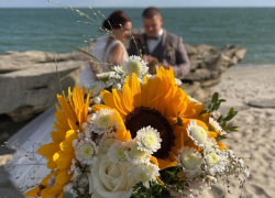 В День семьи в Волгодонске поженились 7 влюбленных пар 