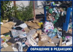 «Мы живем на свалке!»: волгодонцы задыхаются от зловонной кучи мусора на улице Морской