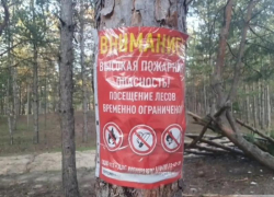 До 13 августа нельзя: на Дону продлили ограничения посещения лесов 