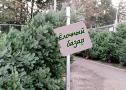 Полиция борется с незаконными точками по продаже елок в Волгодонске