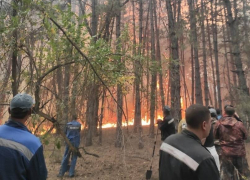 В Большой Мартыновке и Зимовниках создадут станции по тушению лесных пожаров