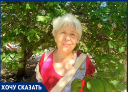 «Сначала во двор прибились 2 собаки, а теперь их 19»: волгодонцы боятся плодящейся стаи на Степной