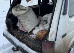 Двое браконьеров ударились в бега в Цимлянском районе, увидев сотрудников Росрыболовства