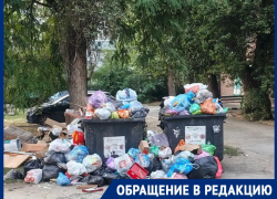 «Мусоровоз, скорая, машины проехать не могут»: из-за продавцов жильцы домов Морская, 60-62 оказались в ловушке собственных дворов