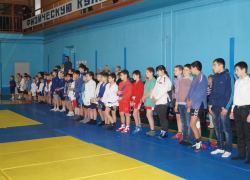 Самбисты из Волгодонска, Цимлянска и Заветного сразились на одном ковре