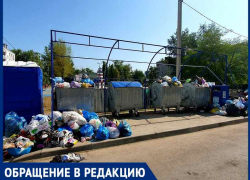 Около лучшей детской площадки Волгодонска появились "двухнедельные горы" мусора