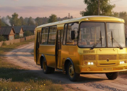 Конские цены и курьезный график: волгодонцы в шоке от дорогущего автобуса на маршруте Волгодонск – Камышевская 