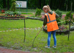 В Волгодонске зафиксировали нарушения трудовых прав детей
