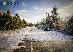 Когда в Волгодонске пойдет снег: ждать ли настоящей зимы в ближайшие дни