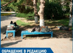 Бомжи устроили себе мини-лагерь возле рынка «Машенька», - волгодонцы боятся проходить мимо