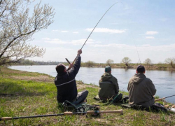 Как не оказаться в тюрьме из-за неправильной рыбалки: актуальные правила рыболовства на весну 2026 года