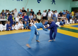 Три бронзовые медали привезли волгодонцы с первенства Кущевского района по дзюдо 