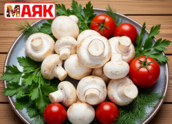 Товар дня: грибы шампиньоны всего за 170₽/кг