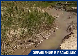 Подозрительный ручей из Волгодонска в Цимлянское водохранилище обнаружили очевидцы