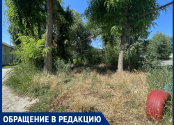«Кусок неучтенной земли зарастает»: жильцы Кадолина, 11 несколько лет не могут покосить траву